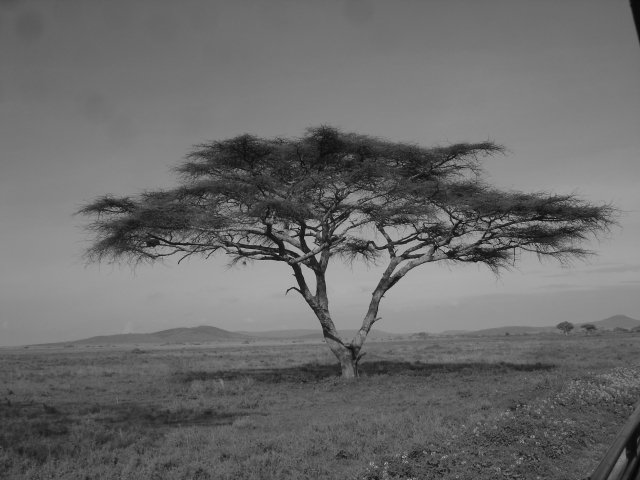 August 2008 - Tanzania